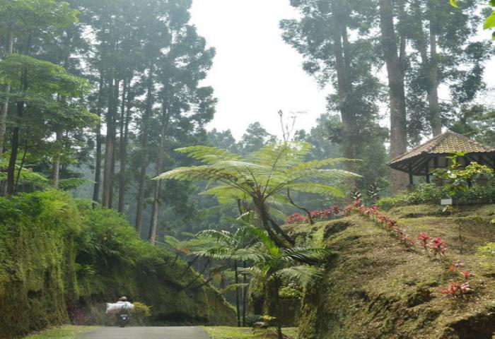 Kebun Raya Jembrana Dilengkapi Penjualan Bibit